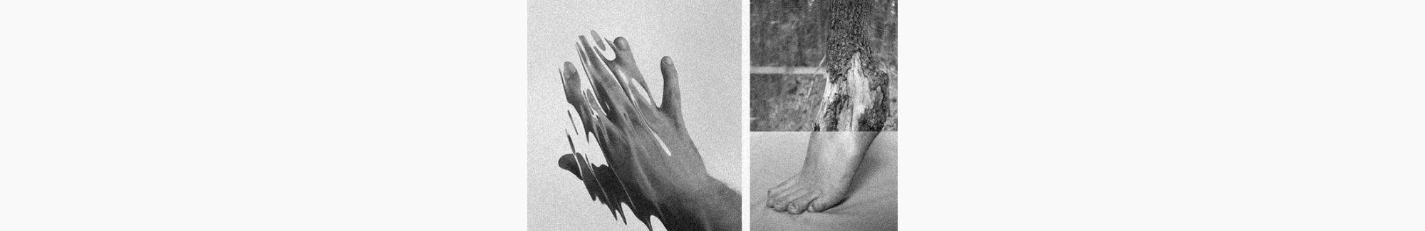 Composition abstraite et fragmentée de main et pied