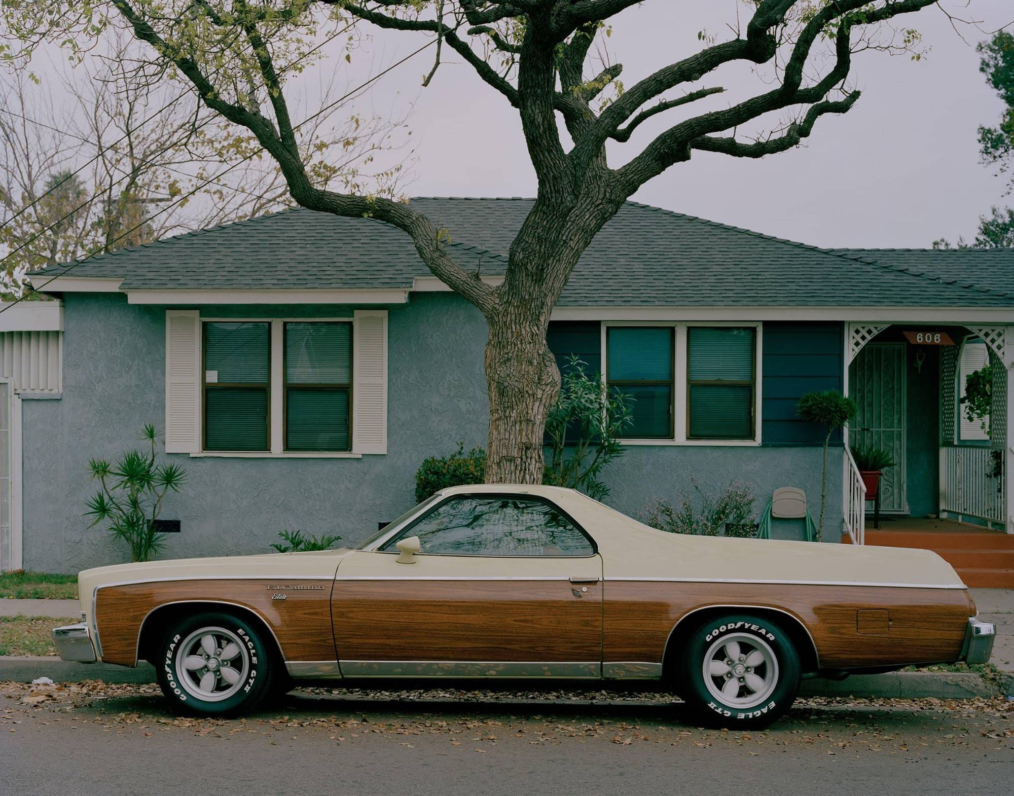 Classic car parked in front of suburban house with large tree